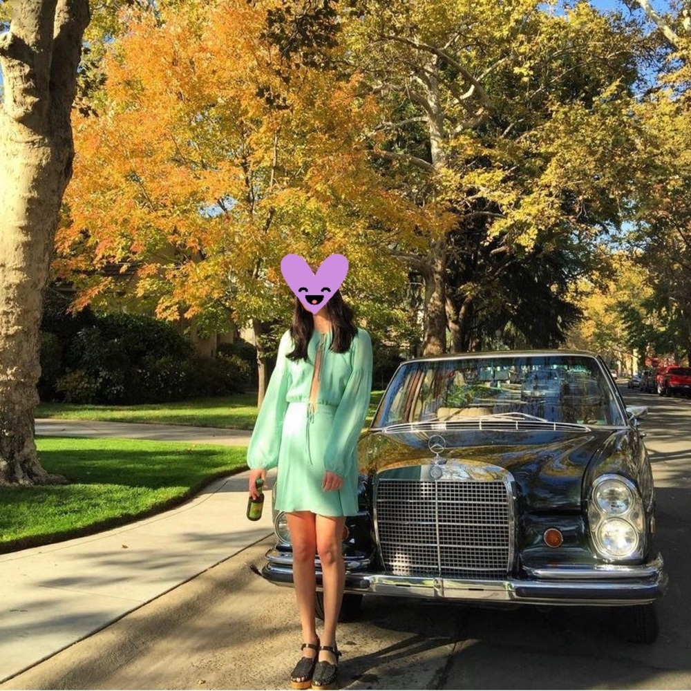 Reformation dress